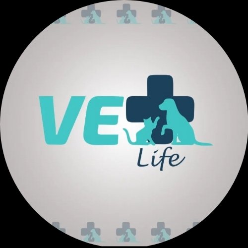 Vet- Life-conheca-vespasiano